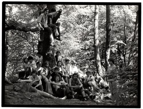 main trip foto