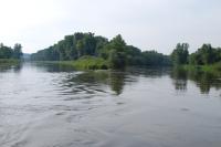 foto 201