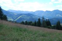 foto 31
