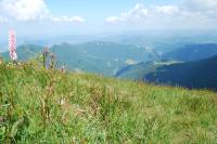 foto 31