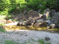 foto 31