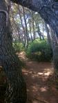 foto 31