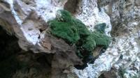 foto 33