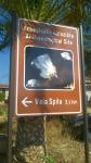 foto 61