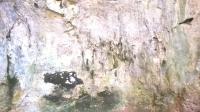 foto 53