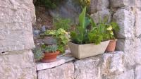 foto 33