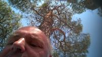 foto 31