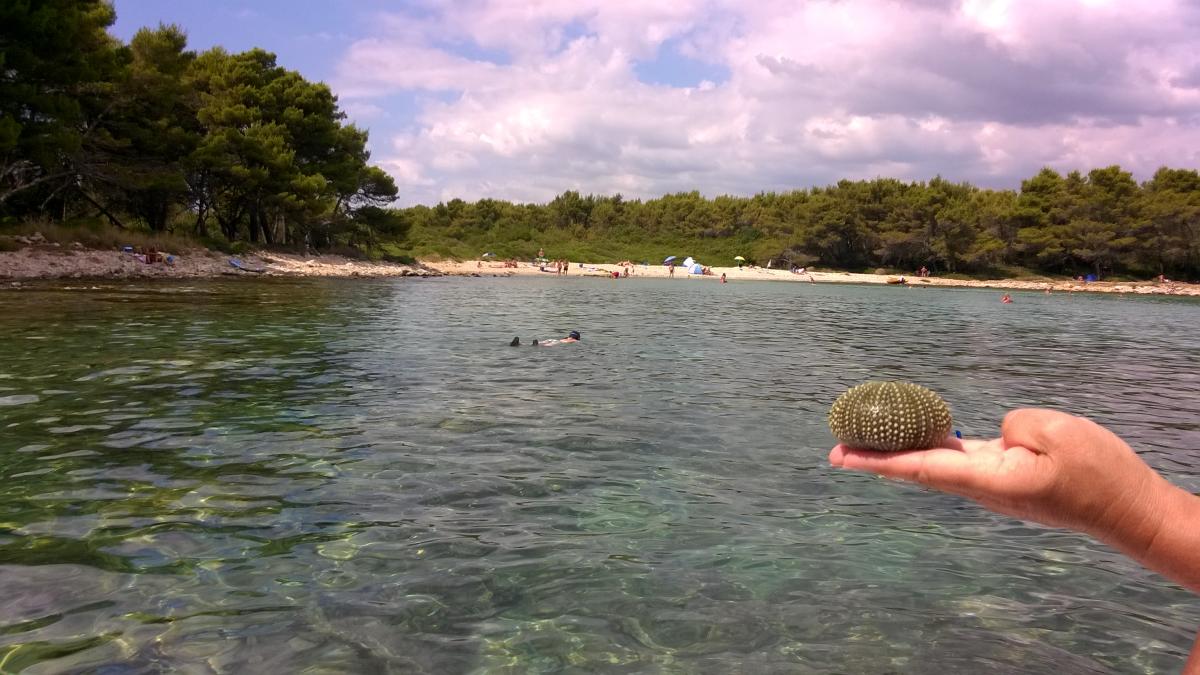 Na sever po pobřeží - Biograd na Moru 