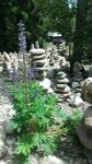 foto 37