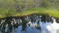 foto 64