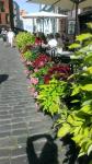 foto 30