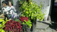 foto 31