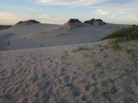 foto 33