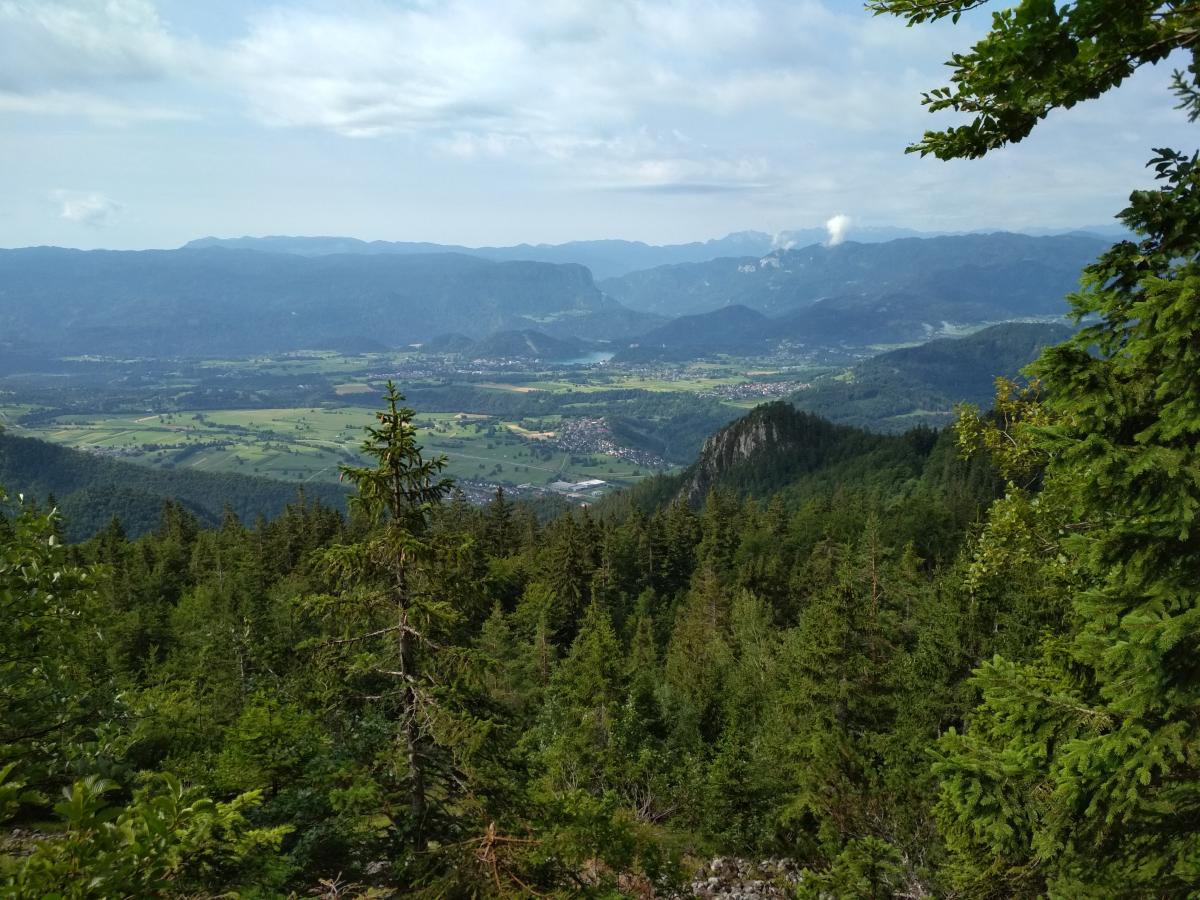 Hlavní fotografie