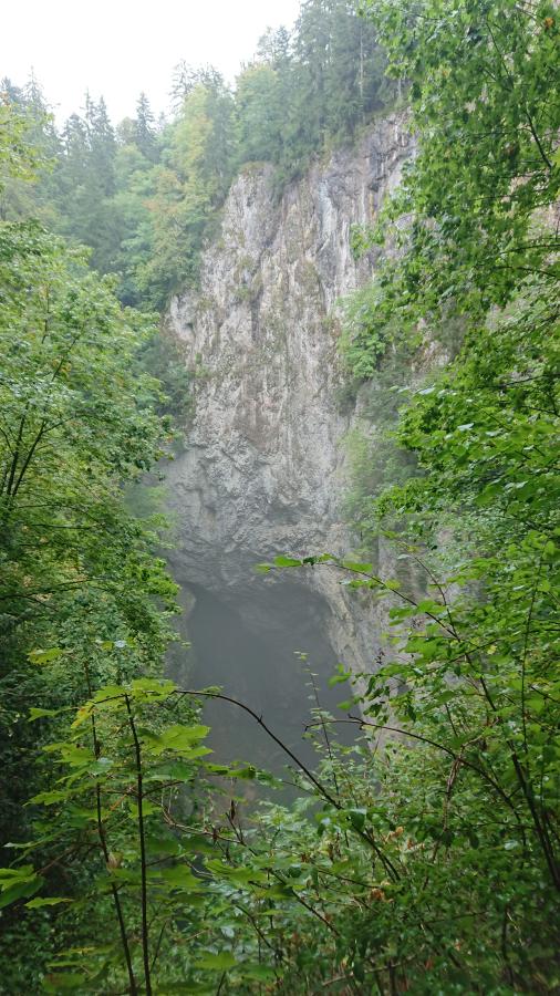 Hlavní fotografie