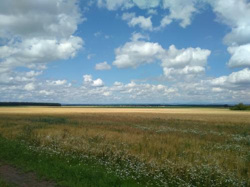 main trip foto