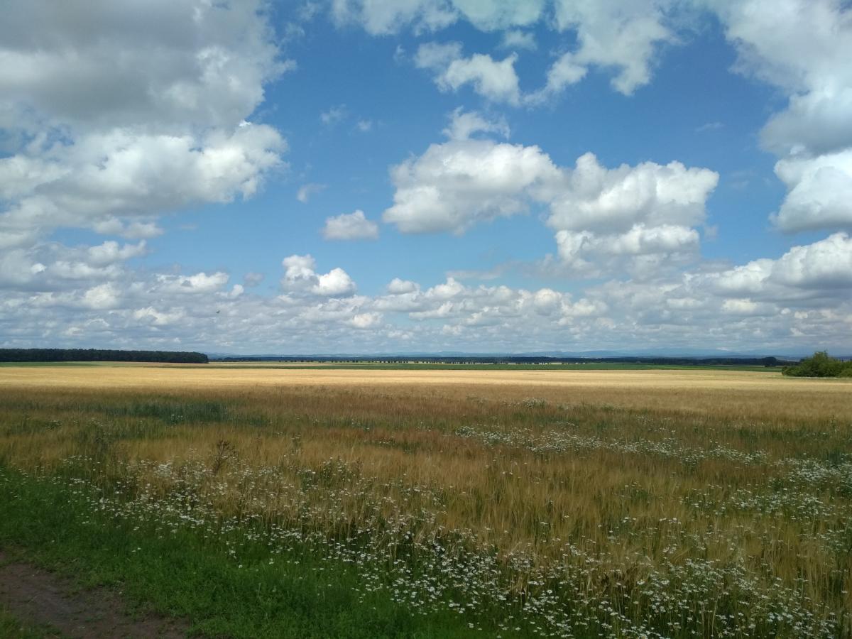 Žehuň