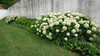 foto 53