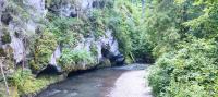 foto 41