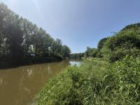 foto 42