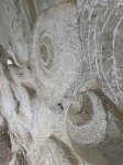foto 93